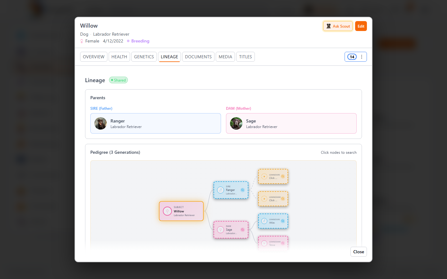Three-generation pedigree view in BreederHQ showing sire and dam linked to grandparents with COI displayed
