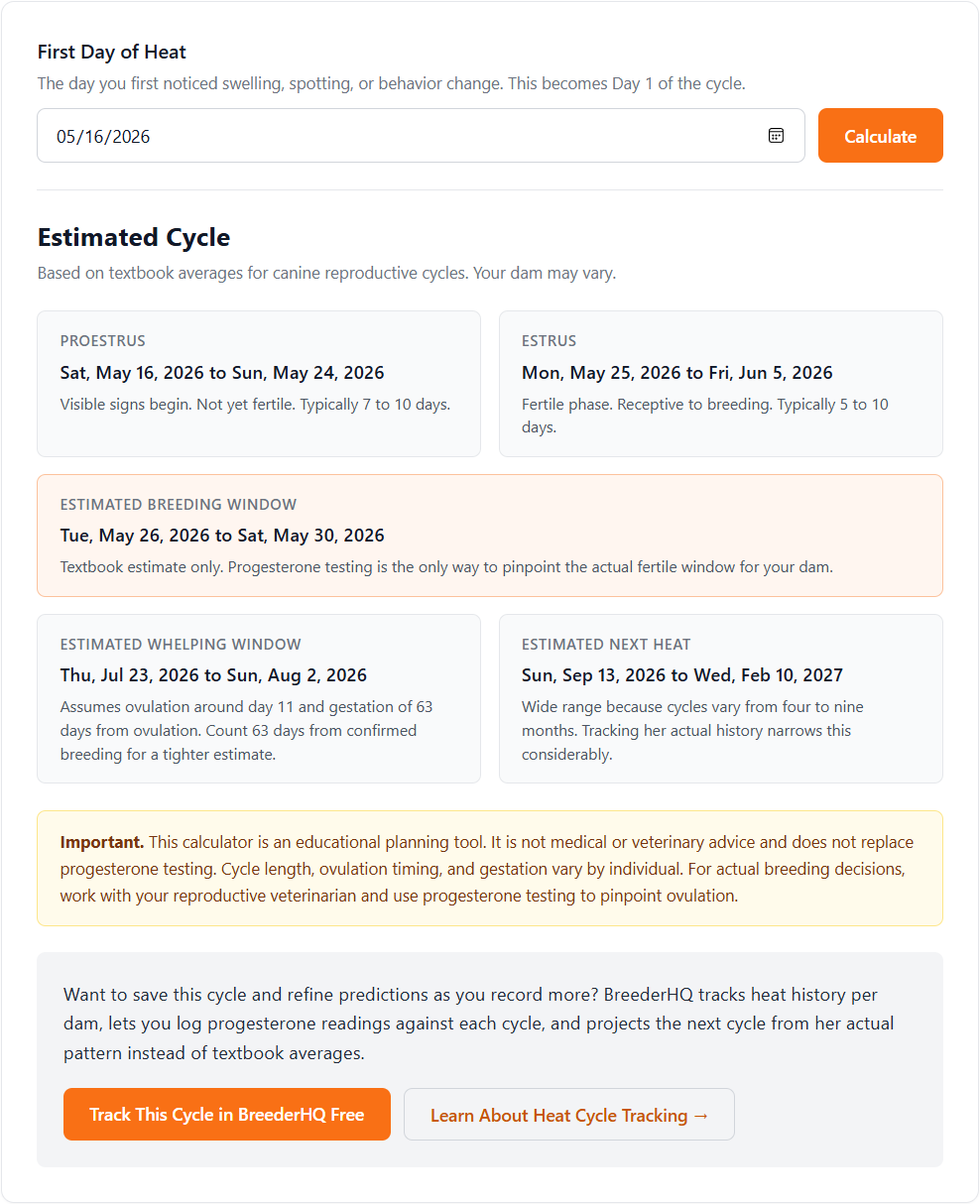 Free heat cycle calculator showing the date input and the populated results panel with proestrus, estrus, breeding window, whelping window, and next-heat estimates