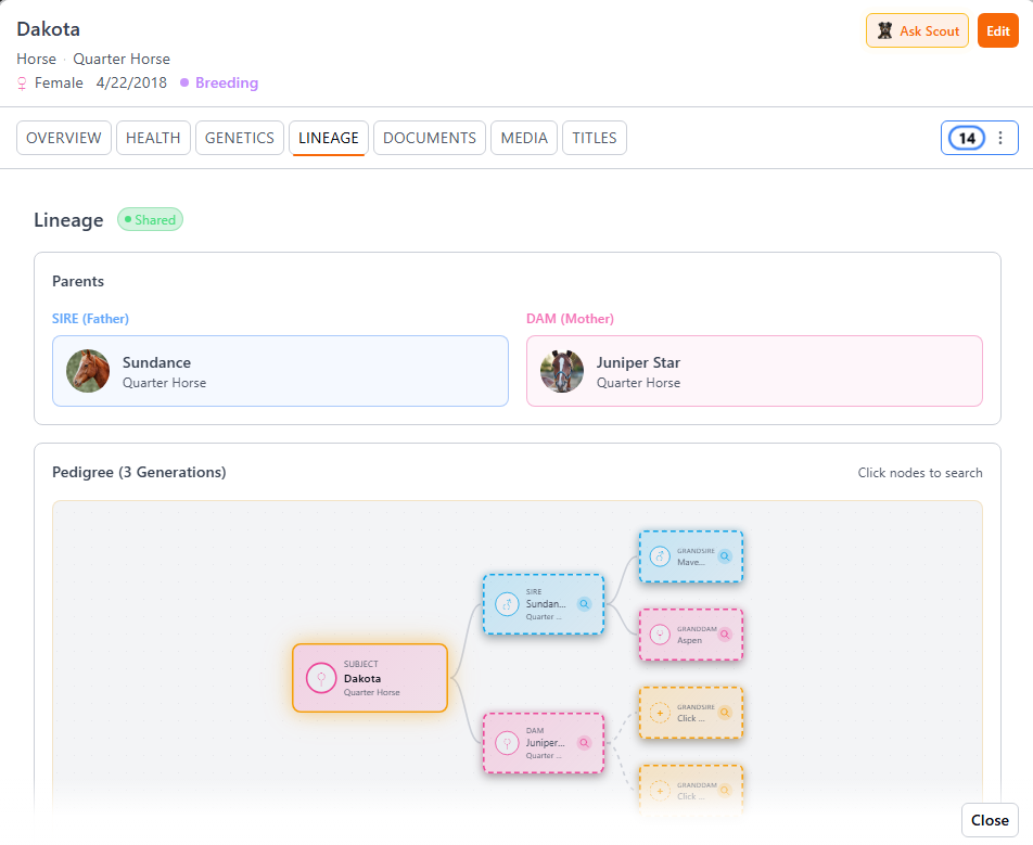 Three-generation Quarter Horse pedigree in BreederHQ with sire and dam linked to grandparents