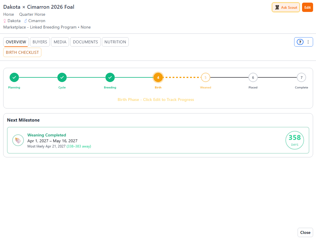 Horse breeding plan journey showing the phase pipeline from planning through foaling, weaning, and placement