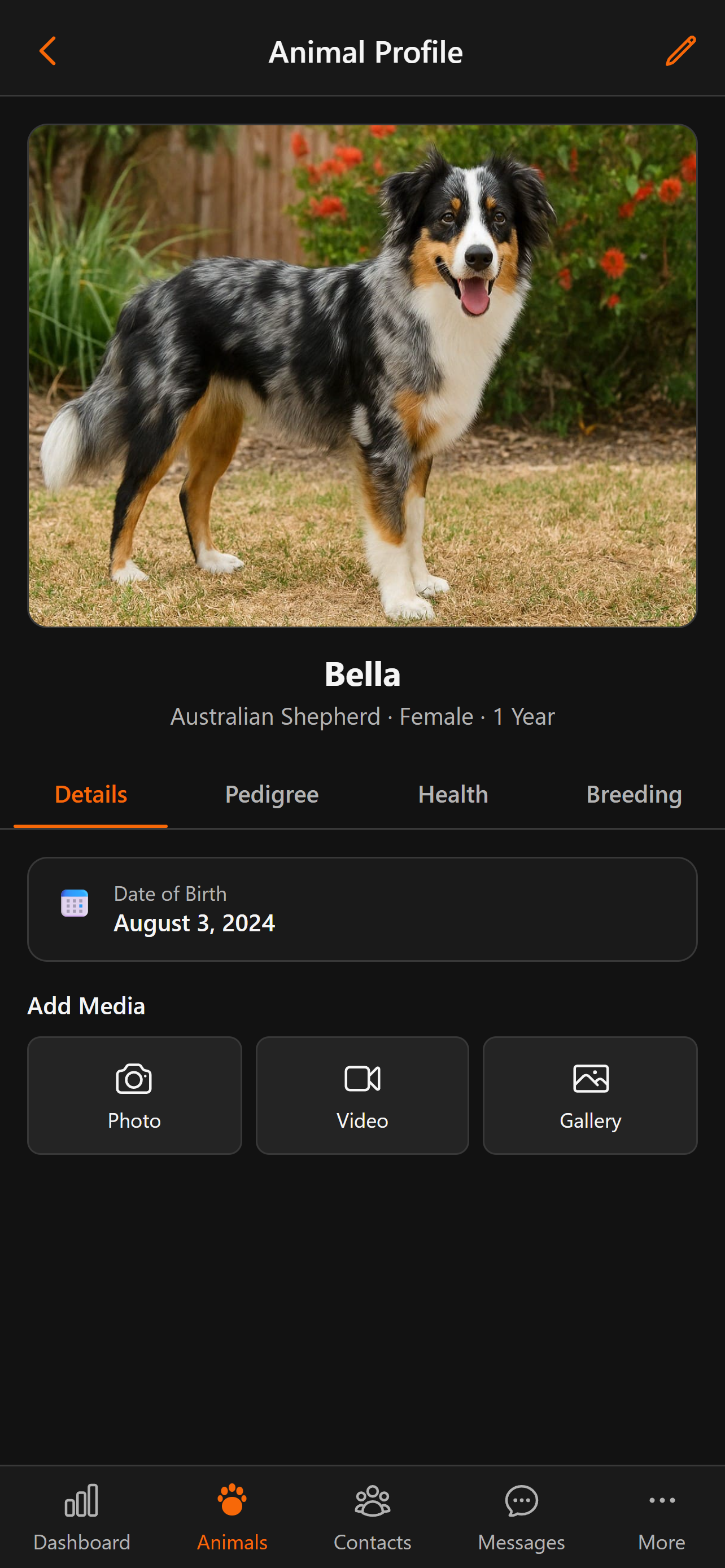 Animal detail view in BreederHQ Mobile Companion, dark theme: profile, health, breeding, and documents