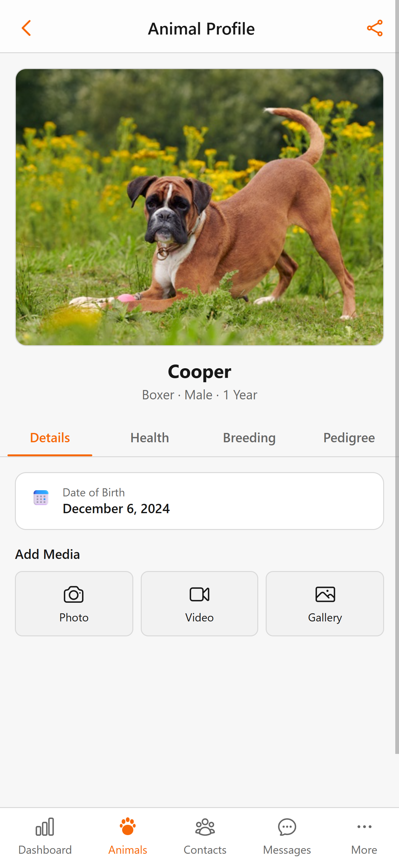 Animal detail view in BreederHQ Mobile Companion, light theme: profile, health, breeding, and documents