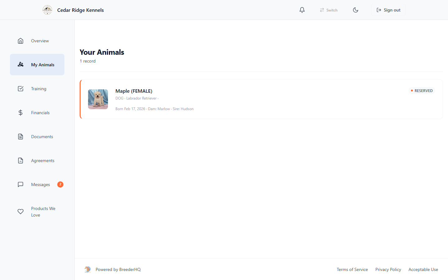 Buyer portal My Animals view showing Sarah's reserved Labrador puppy Maple